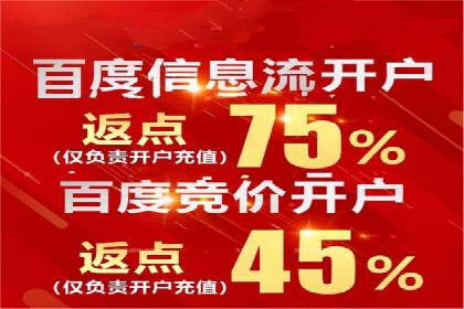 某电商平台信息流广告的精准推广策略